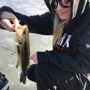 Meet your Posher, Cherise